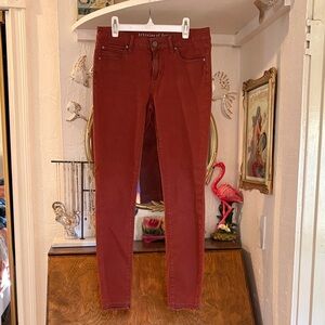 Articles of Society Women's Rust Colored Skinny Jeans